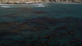 5K aerial stock footage of tilting from floating kelp to reveal coastal cliffs, Big Sur, California Aerial Stock Footage | AXSF16_078