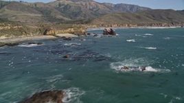 5K aerial stock footage of passing by seagulls in flight near the coastline, Big Sur, California Aerial Stock Footage | AXSF16_094