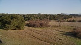 5K aerial stock footage of flying low by small hills and trees, San Luis Obispo County, California Aerial Stock Footage | AXSF17_006