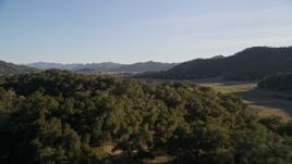 5K aerial stock footage of flying low over trees near hills in San Luis Obispo County, California Aerial Stock Footage | AXSF17_007