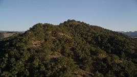 5K aerial stock footage of tilting from trees to approach a wooded mountain peak, San Luis Obispo County, California Aerial Stock Footage | AXSF17_009