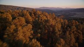 5K aerial stock footage fly over forest at sunset, San Luis Obispo County, California Aerial Stock Footage | AXSF17_064