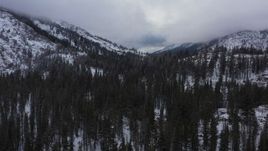 4K stock footage aerial video of evergreen trees and snow-covered mountain slopes, Inyo National Forest, California Aerial Stock Footage | CAP_015_019