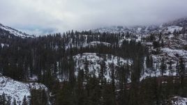 4K stock footage aerial video of flying past snowy evergreens and slopes, Inyo National Forest, California Aerial Stock Footage | CAP_015_024