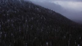 4K stock footage aerial video of evergreen forest on snowy mountain slope, Inyo National Forest, California Aerial Stock Footage | CAP_019_009