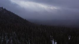 4K stock footage aerial video of panning across evergreen forest on snowy mountain slope, Inyo National Forest, California Aerial Stock Footage | CAP_019_010