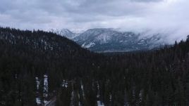 4K stock footage aerial video of snowy mountains, descend by evergreen forest, Inyo National Forest, California Aerial Stock Footage | CAP_019_011