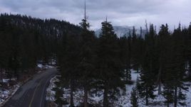 4K stock footage aerial video ascend from road and evergreen forest to reveal distant snowy mountains, Inyo National Forest, California Aerial Stock Footage | CAP_019_013