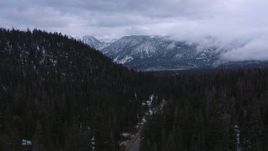 4K stock footage aerial video fly over evergreen forest toward distant snowy mountains, Inyo National Forest, California Aerial Stock Footage | CAP_019_014