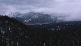 4K stock footage aerial video of evergreen forest and distant snowy mountains, Inyo National Forest, California Aerial Stock Footage | CAP_019_016