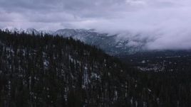 4K stock footage aerial video of flying by evergreen forest and distant snowy mountains, Inyo National Forest, California Aerial Stock Footage | CAP_019_017