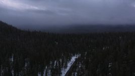 4K stock footage aerial video of following a road toward evergreen forest with snow, Inyo National Forest, California Aerial Stock Footage | CAP_019_018