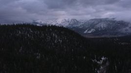 4K stock footage aerial video of flying over evergreen forest toward Mammoth Mountain, Inyo National Forest, California Aerial Stock Footage | CAP_019_019