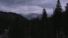 4K stock footage aerial video ascend from evergreen forest to reveal snowy mountains, Inyo National Forest, California Aerial Stock Footage | CAP_019_021