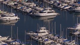 HD stock footage aerial video of orbiting yachts and sailboats at the harbor in Dana Point, California Aerial Stock Footage | CAP_021_062