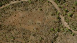 HD stock footage aerial video of a bird's eye view of a dirt road and savanna, Zimbabwe Aerial Stock Footage | CAP_026_007