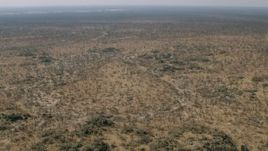 HD stock footage aerial video of trees and brush in a wide expanse of savanna, Zimbabwe Aerial Stock Footage | CAP_026_037