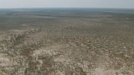 HD stock footage aerial video of a wide view of trees and brush in the open savanna, Zimbabwe Aerial Stock Footage | CAP_026_047
