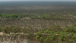 HD stock footage aerial video of flying over trees and brush lining rivers in the open savanna, Zimbabwe Aerial Stock Footage | CAP_026_052