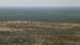 HD stock footage aerial video of approaching green trees and fields in the open savanna, Zimbabwe Aerial Stock Footage | CAP_026_057