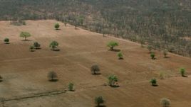 HD stock footage aerial video of orbiting green trees and fields in the open savanna, Zimbabwe Aerial Stock Footage | CAP_026_058