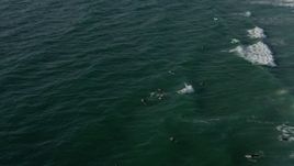 4K aerial stock footage approach surfers and tilt to a bird's eye view of them, La Jolla, California Aerial Stock Footage | DCA08_248
