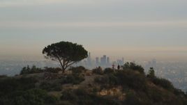 5K aerial stock footage fly over lone tree on a mountain to reveal the Downtown Los Angeles skyline at sunset, California Aerial Stock Footage | DCLA_005