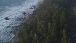 5K aerial stock footage Fly over trees on the coastal cliffs of Big Sur, California Aerial Stock Footage | DCSF03_044