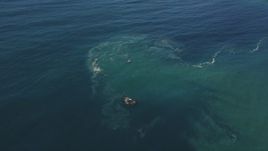 5K Aerial Video Reverse view of the calm waters of the Pacific Ocean Aerial Stock Footage | DCSF11_038