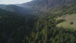 5K aerial stock footage of following Highway 1 through evergreen forest, Big Sur, California Aerial Stock Footage | DFKSF03_131