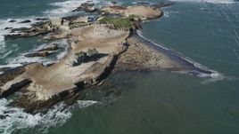 5K aerial stock footage of flying away from seals and sea lions on Año Nuevo Island, California Aerial Stock Footage | DFKSF15_107