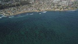 5K aerial stock footage of kelp forests near coastal neighborhoods, Santa Cruz, California Aerial Stock Footage | DFKSF15_140