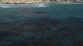 5K aerial stock footage of tilting from floating kelp to reveal coastal cliffs, Big Sur, California Aerial Stock Footage | DFKSF16_082