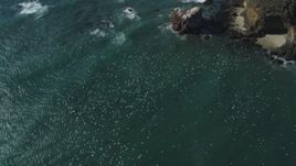 5K aerial stock footage of tracking flocks of seagulls flying over the ocean near coast, Big Sur, California Aerial Stock Footage | DFKSF16_099