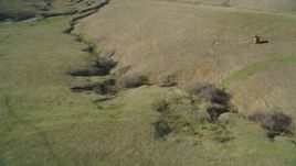5K aerial stock footage of a reverse view of cattle and hills in San Luis Obispo County, California Aerial Stock Footage | DFKSF16_148