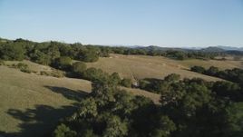 5K aerial stock footage of flying low over hills and trees in San Luis Obispo County, California Aerial Stock Footage | DFKSF17_002