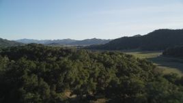 5K aerial stock footage of flying low over trees near hills in San Luis Obispo County, California Aerial Stock Footage | DFKSF17_004