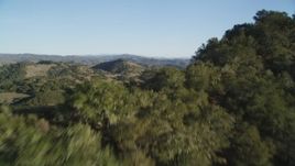 5K aerial stock footage tilt up from trees and fly over hills in San Luis Obispo County, California Aerial Stock Footage | DFKSF17_006