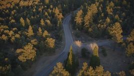 5K aerial stock footage of following a road through forest, Los Padres National Forest, California, sunset Aerial Stock Footage | DFKSF17_045