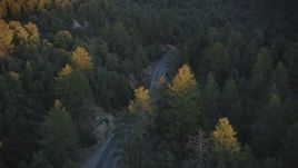 5K aerial stock footage of following a road through the forest, Los Padres National Forest, California, sunset Aerial Stock Footage | DFKSF17_046