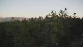 5K aerial stock footage of flying low over patches of snow and trees in Los Padres National Forest, California, twilight Aerial Stock Footage | DFKSF17_052