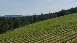 5.7K aerial stock footage of a reverse view of Mount Hood seen from hillside Phelps Creek Vineyards in Hood River, Oregon Aerial Stock Footage | DX0001_009_007