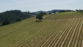 5.7K aerial stock footage of descending by grapevines on a hillside at Phelps Creek Vineyards in Hood River, Oregon Aerial Stock Footage | DX0001_009_009