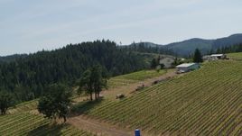 5.7K aerial stock footage of flying away from rows of grapevines at a hillside vineyard in Hood River, Oregon Aerial Stock Footage | DX0001_009_014