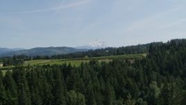 5.7K aerial stock footage of flying over trees toward Mount Hood, and reveal Phelps Creek Vineyards in Hood River, Oregon Aerial Stock Footage | DX0001_009_016