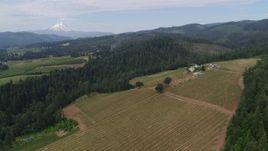 5.7K aerial stock footage wide angle orbit of a winery with a view of Mt Hood, Hood River, Oregon Aerial Stock Footage | DX0001_015_007