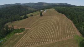 5.7K aerial stock footage approach and descend toward vineyards, Hood River, Oregon Aerial Stock Footage | DX0001_015_008