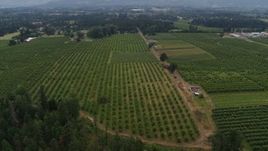 5.7K aerial stock footage of a reverse view of orchards in Hood River, Oregon Aerial Stock Footage | DX0001_015_012