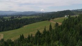 5.7K aerial stock footage approach and descend toward vineyards with a view of Mt Hood, Hood River, Oregon Aerial Stock Footage | DX0001_015_015