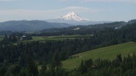 5.7K aerial stock footage approaching grapevines with Mt Hood in the distance, Hood River, Oregon Aerial Stock Footage | DX0001_015_022